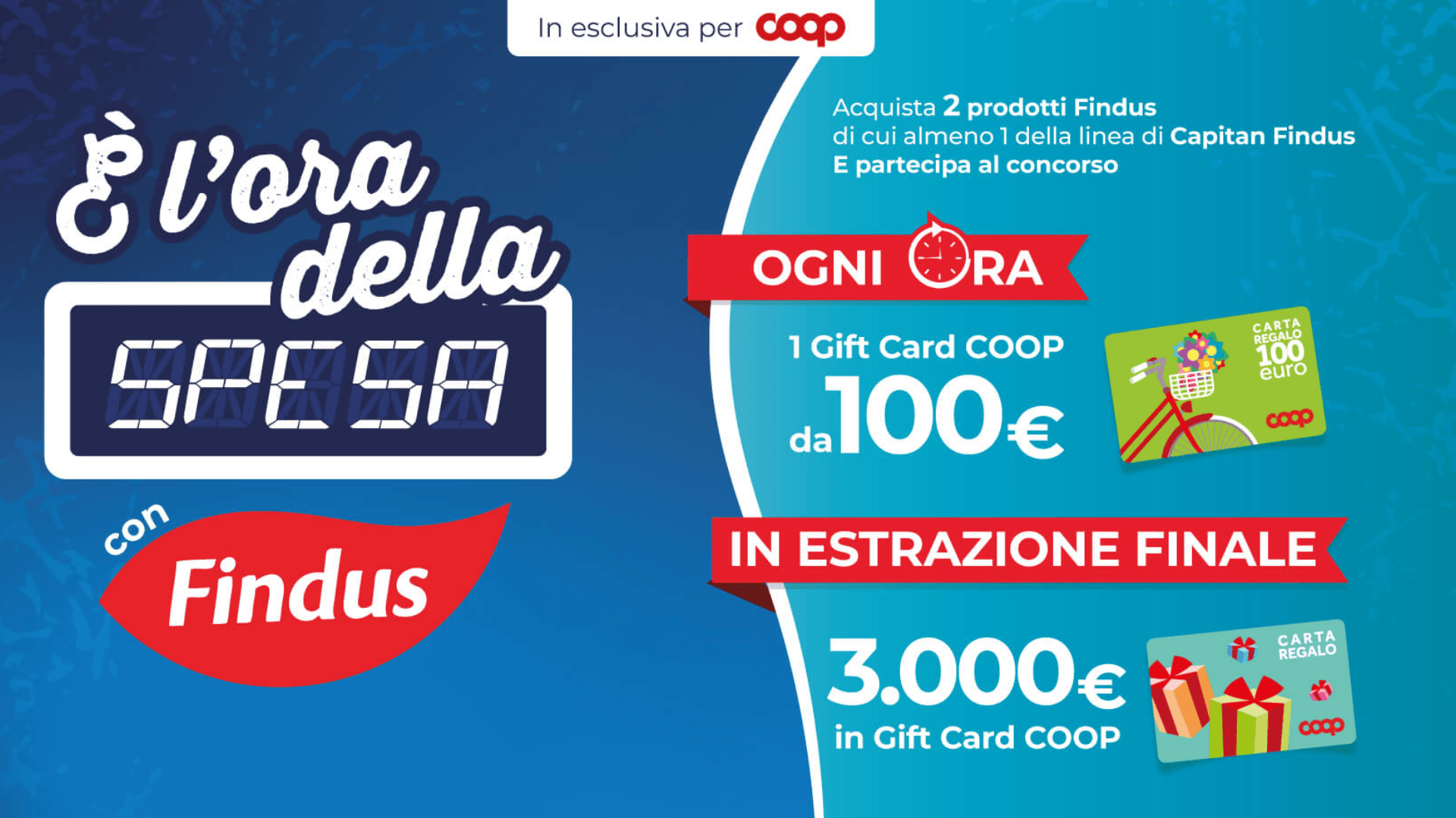 Concorso Findus "È l'ora della Spesa": Vinci Gift Card fino a 3.000€ 1 findu