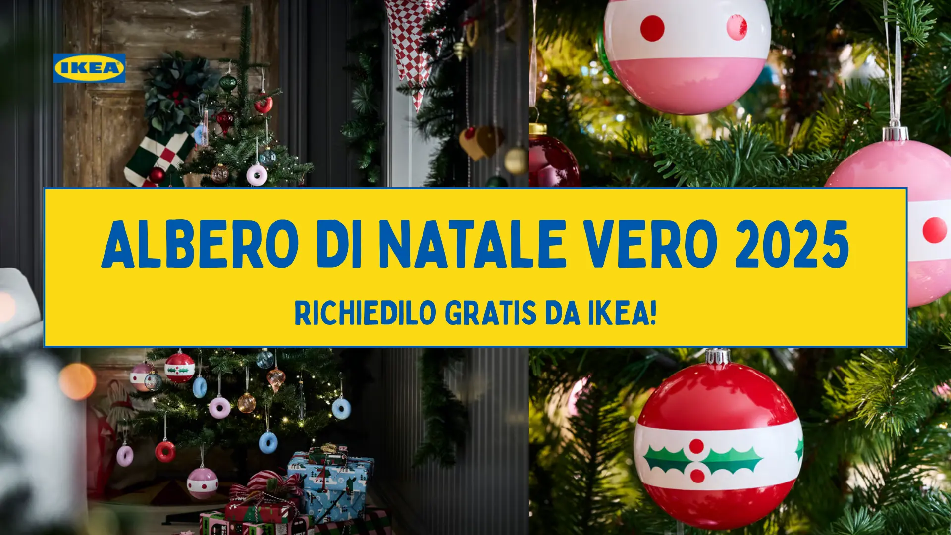 IKEA Albero di Natale Vero 2025: come richiederlo GRATIS