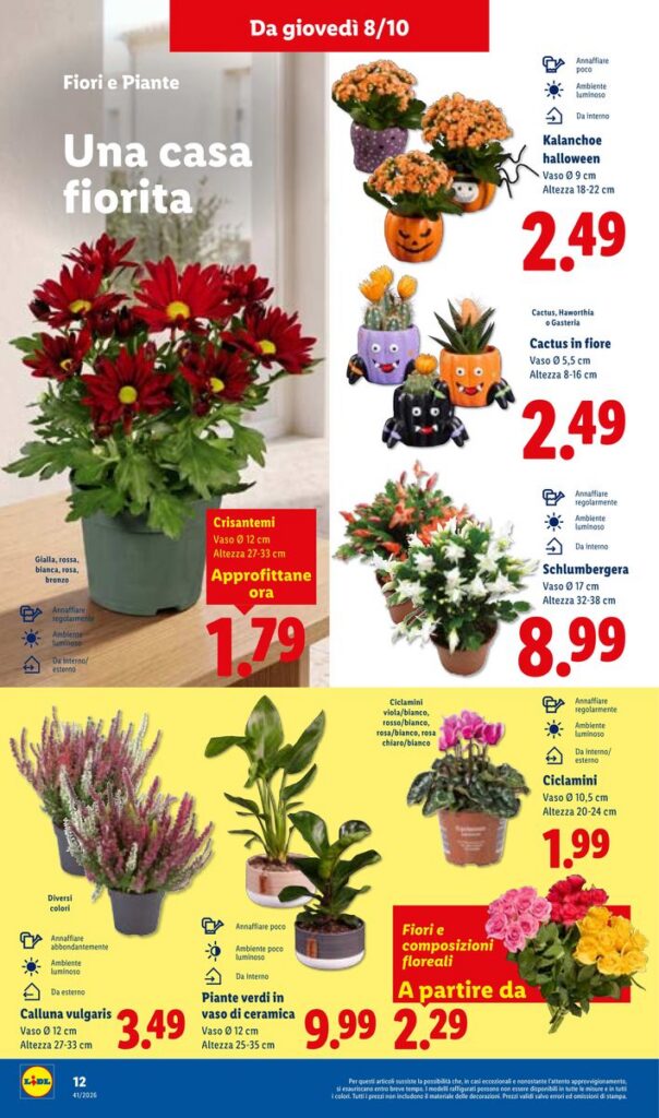 Volantino Lidl, pagina 34 di 58