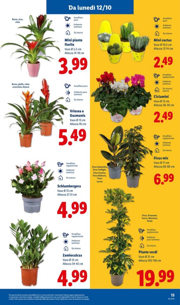 Volantino Lidl, pagina 35 di 58