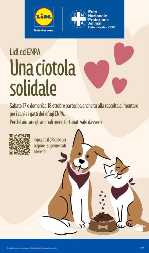 Volantino Lidl (anteprima), pagina 31 di 56