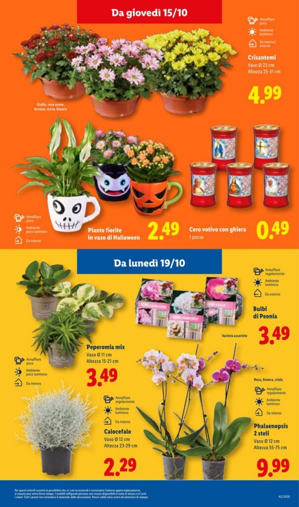 Volantino Lidl (anteprima), pagina 45 di 56